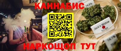 сатива Бузулук