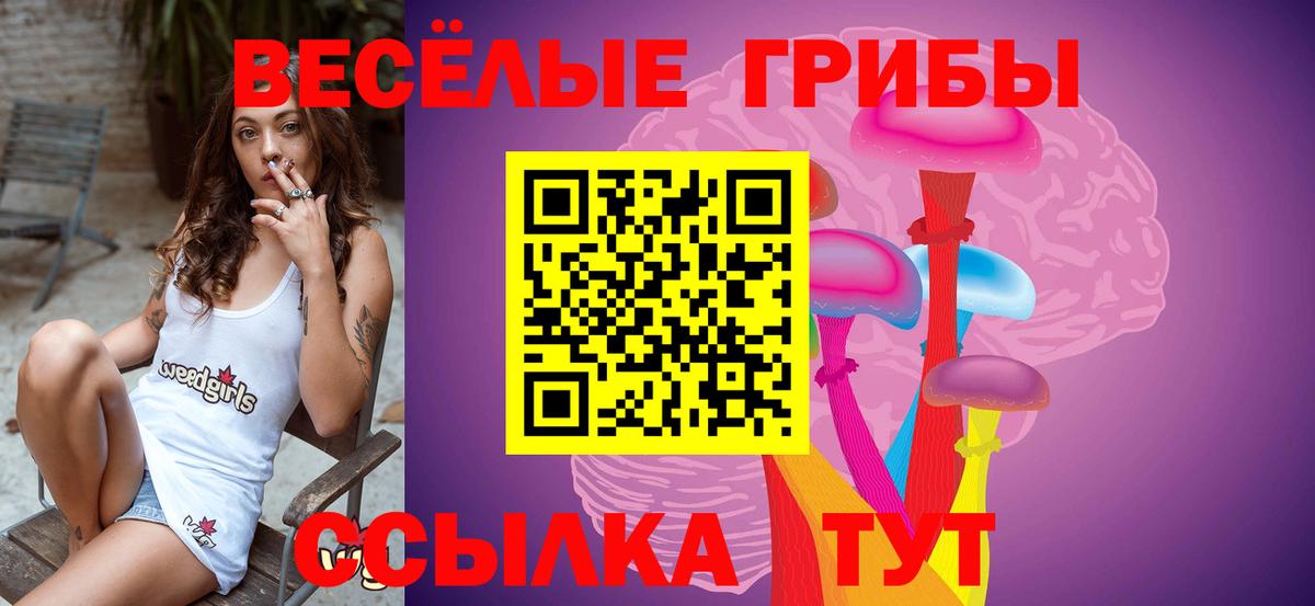 Псилоцибиновые грибы ЛСД Рассказово