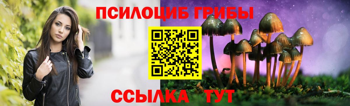 Галлюциногенные грибы Psilocybine cubensis  Псилоцибиновые грибы прущие грибы  Вход с VPN  Рассказово 